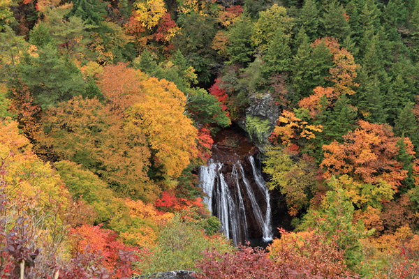 信州有数の紅葉の名所「横谷渓谷」