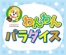 わんわんパラダイス