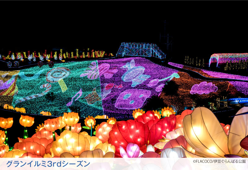 オーシャンフロント和洋室内観