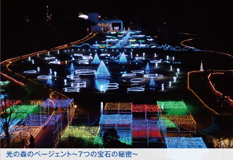 オーシャンビュー和洋室内観