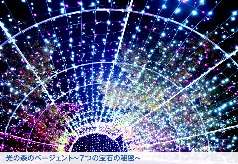 フォレストビュー和洋室内観