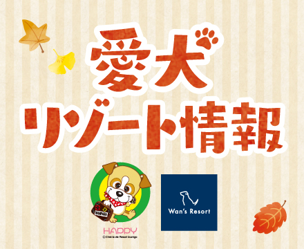 愛犬リゾート情報