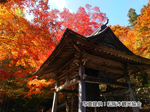 紅葉スポット