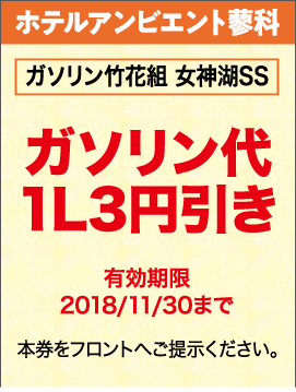 ガソリン竹花組 女神湖SS