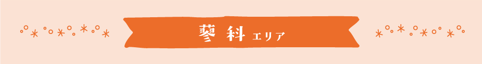 蓼科エリア