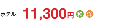 11,300円