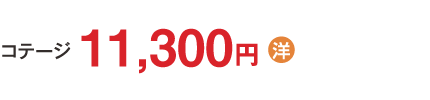 11,300円
