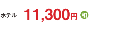 11,300円