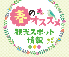 春の周辺観光情報