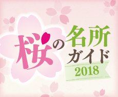 桜情報