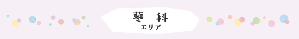 蓼科エリア