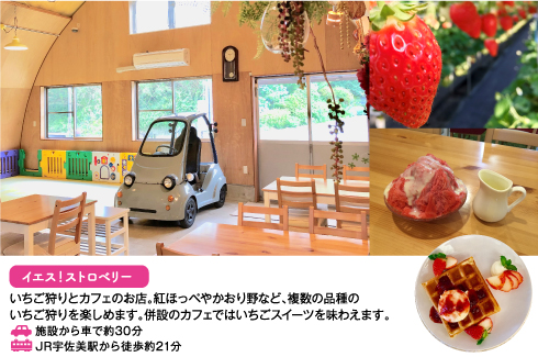 アクティビティ画像3