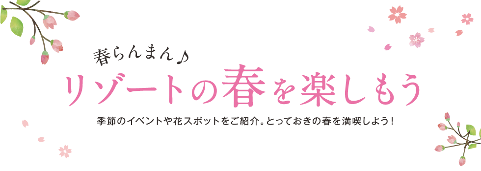 春のオススメ観光スポット情報