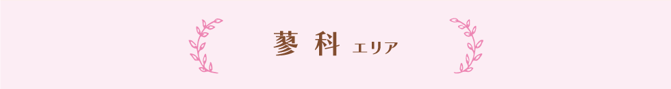 蓼科エリア